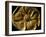 Gold Artifact from Tillya Tepe, Elements of Greek, Indian, Asian culture-Kenneth Garrett-Framed Photographic Print