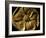 Gold Artifact from Tillya Tepe, Elements of Greek, Indian, Asian culture-Kenneth Garrett-Framed Photographic Print