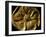 Gold Artifact from Tillya Tepe, Elements of Greek, Indian, Asian culture-Kenneth Garrett-Framed Photographic Print