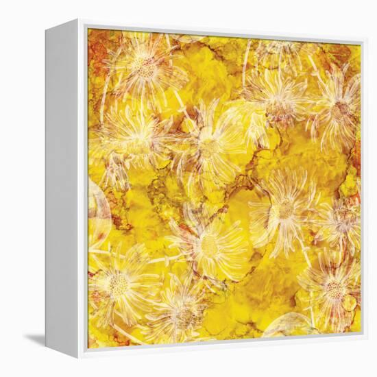 Gold Background with White Floral-Bee Sturgis-Framed Stretched Canvas
