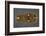 Gold Belt Buckle Fom the Ship-Burial at Sutton Hoo, Suffolk, Early 7th Century-null-Framed Giclee Print