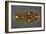 Gold Belt Buckle Fom the Ship-Burial at Sutton Hoo, Suffolk, Early 7th Century-null-Framed Giclee Print