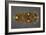 Gold Belt Buckle Fom the Ship-Burial at Sutton Hoo, Suffolk, Early 7th Century-null-Framed Giclee Print