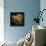 Gold Black Line Poppies I v2-Shirley Novak-Framed Stretched Canvas displayed on a wall