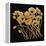Gold Black Line Poppies I v2-Shirley Novak-Framed Stretched Canvas