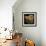 Gold Black Line Poppies I v2-Shirley Novak-Framed Art Print displayed on a wall