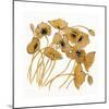 Gold Black Line Poppies II-Shirley Novak-Mounted Art Print