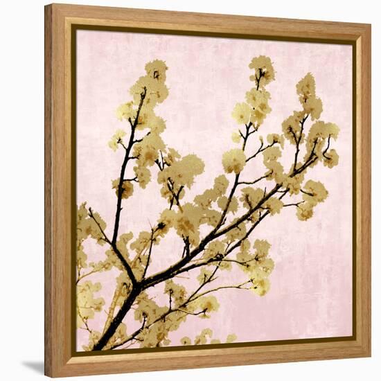 Gold Blossoms on Pink II-Kate Bennett-Framed Stretched Canvas