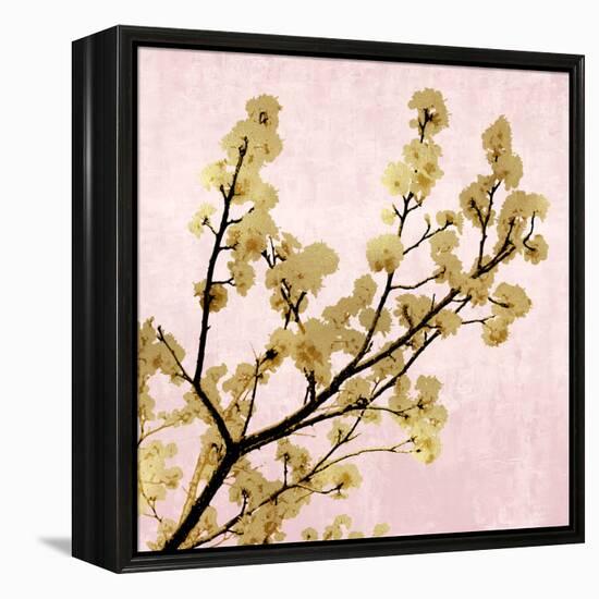 Gold Blossoms on Pink II-Kate Bennett-Framed Stretched Canvas