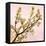 Gold Blossoms on Pink II-Kate Bennett-Framed Stretched Canvas