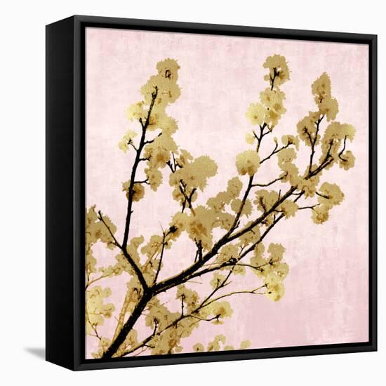 Gold Blossoms on Pink II-Kate Bennett-Framed Stretched Canvas