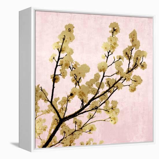Gold Blossoms on Pink II-Kate Bennett-Framed Stretched Canvas