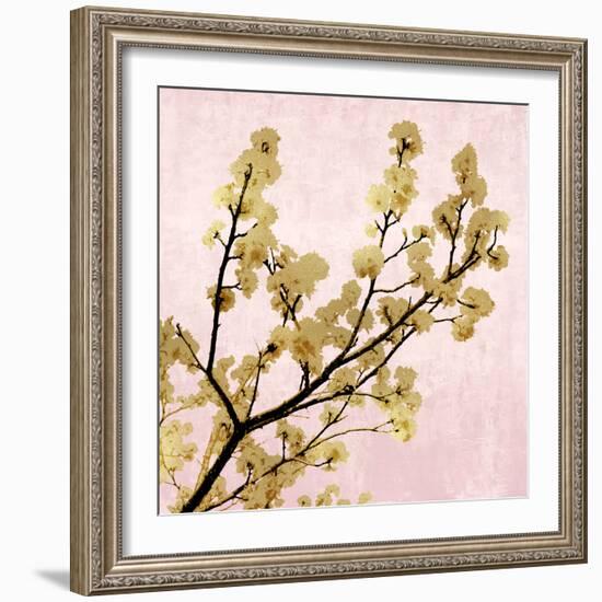 Gold Blossoms on Pink II-Kate Bennett-Framed Art Print