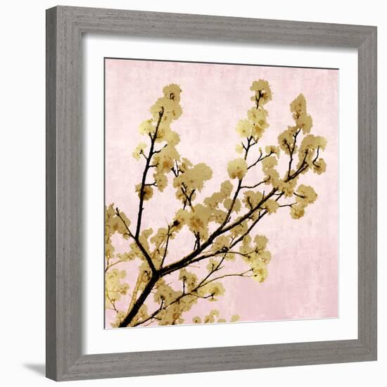 Gold Blossoms on Pink II-Kate Bennett-Framed Art Print