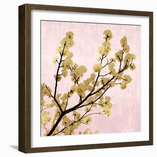 Gold Blossoms on Pink II-Kate Bennett-Framed Art Print