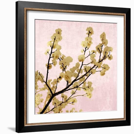 Gold Blossoms on Pink II-Kate Bennett-Framed Art Print