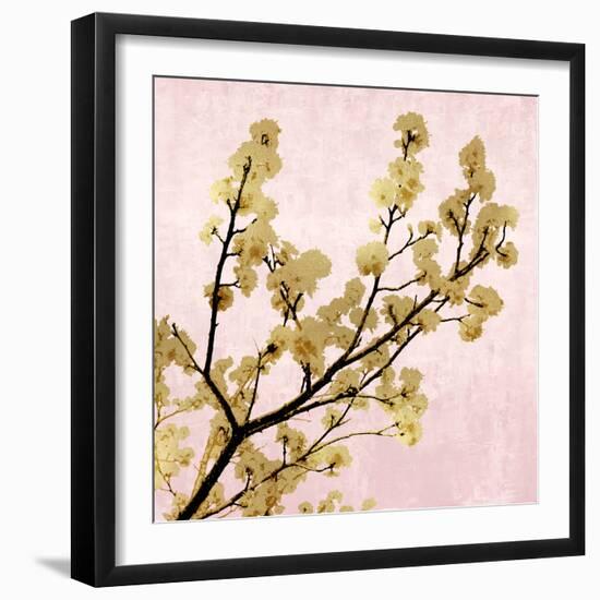 Gold Blossoms on Pink II-Kate Bennett-Framed Art Print