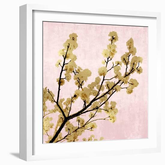 Gold Blossoms on Pink II-Kate Bennett-Framed Art Print