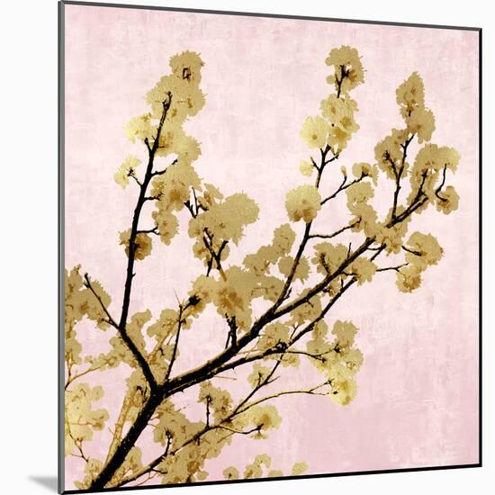 Gold Blossoms on Pink II-Kate Bennett-Mounted Art Print