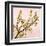 Gold Blossoms on Pink II-Kate Bennett-Framed Art Print