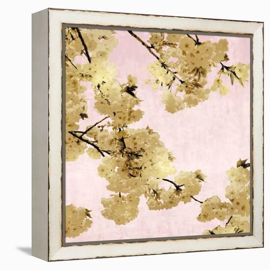 Gold Blossoms on Pink III-Kate Bennett-Framed Stretched Canvas