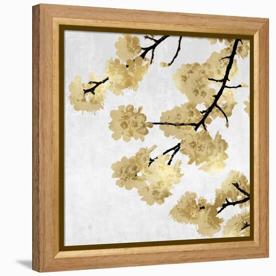 Gold Blossoms on White II-Kate Bennett-Framed Stretched Canvas