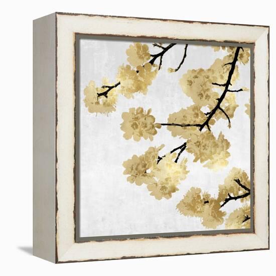 Gold Blossoms on White II-Kate Bennett-Framed Stretched Canvas