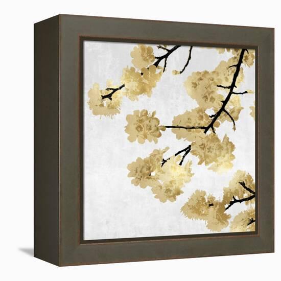 Gold Blossoms on White II-Kate Bennett-Framed Stretched Canvas