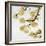 Gold Blossoms on White II-Kate Bennett-Framed Art Print