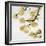 Gold Blossoms on White II-Kate Bennett-Framed Art Print