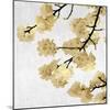 Gold Blossoms on White II-Kate Bennett-Mounted Art Print