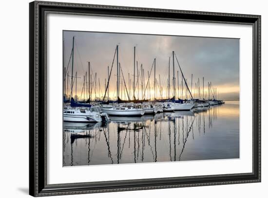 Gold & Blue-Danny Head-Framed Photographic Print