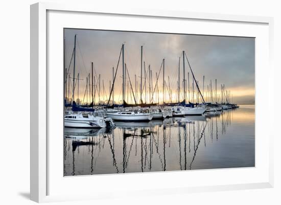 Gold & Blue-Danny Head-Framed Photographic Print