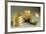 Gold Bracelets from Metal Age, from Hinova Treasure, Romania-null-Framed Giclee Print