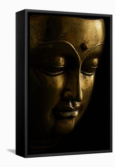 Gold Buddha on Black-Tom Quartermaine-Framed Premier Image Canvas
