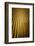 Gold Building-Philippe Sainte-Laudy-Framed Photographic Print