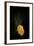 Gold Button-Philippe Sainte-Laudy-Framed Photographic Print