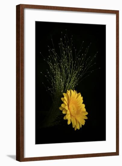 Gold Button-Philippe Sainte-Laudy-Framed Photographic Print