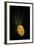 Gold Button-Philippe Sainte-Laudy-Framed Photographic Print