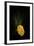 Gold Button-Philippe Sainte-Laudy-Framed Photographic Print