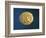 Gold Celtic Stater of Parisii or Quarisii-null-Framed Giclee Print