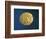 Gold Celtic Stater of Parisii or Quarisii-null-Framed Giclee Print