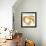 Gold Circular Strokes II-Megan Morris-Framed Art Print displayed on a wall