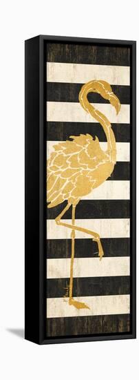 Gold Coast Flamingo-Paul Brent-Framed Stretched Canvas