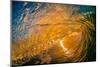 Gold Coast Glory-Inside looking out of a tubing wave at sunset-Mark A Johnson-Mounted Photographic Print