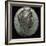 Gold coin of Arsinoe II, 3rd century BC. Artist: Unknown-Unknown-Framed Giclee Print