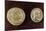 Gold Coins Showing Heads of Roman Emperors Constantine the Great and Diocletian, 4th Century-null-Mounted Giclee Print