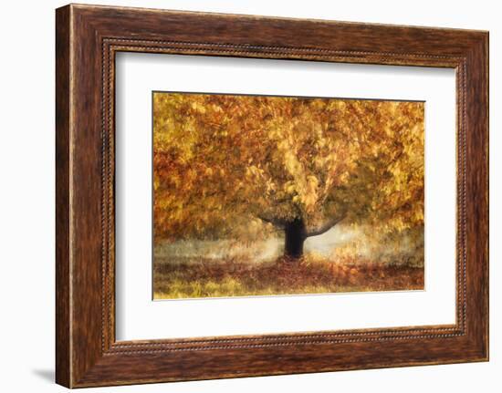 Gold colors-Nel Talen-Framed Photographic Print