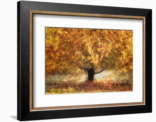 Gold colors-Nel Talen-Framed Photographic Print