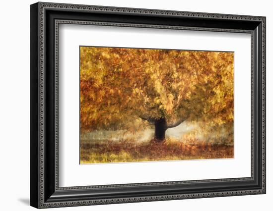 Gold colors-Nel Talen-Framed Photographic Print